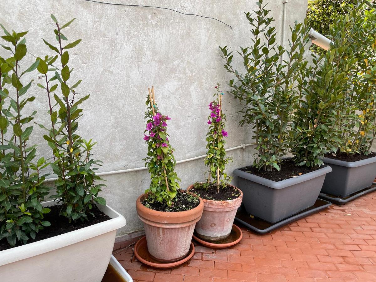Campo De Fiori Palace Villa Rome Exterior photo